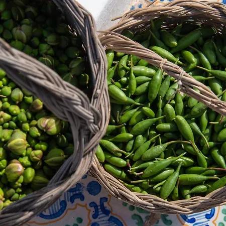 Al Cappero Alloggio per agriturismo *
