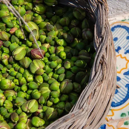 Al Cappero * Malfa (Salina)