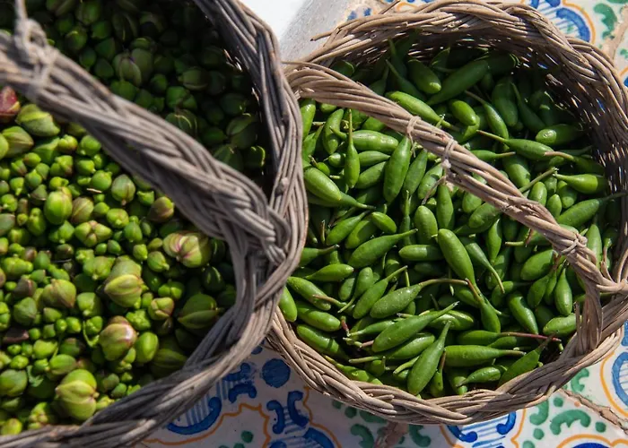 Al Cappero Vakantieboerderij *