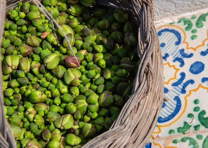 Al Cappero * Malfa (Salina)